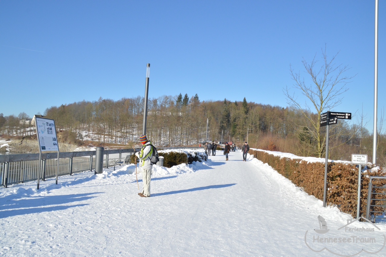 Der See im Winter