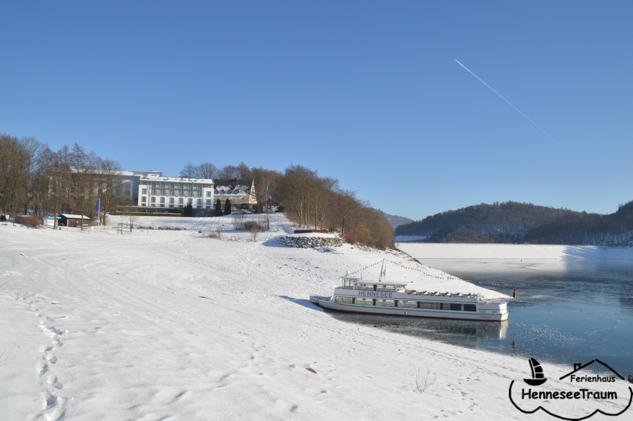 Der See im Winter