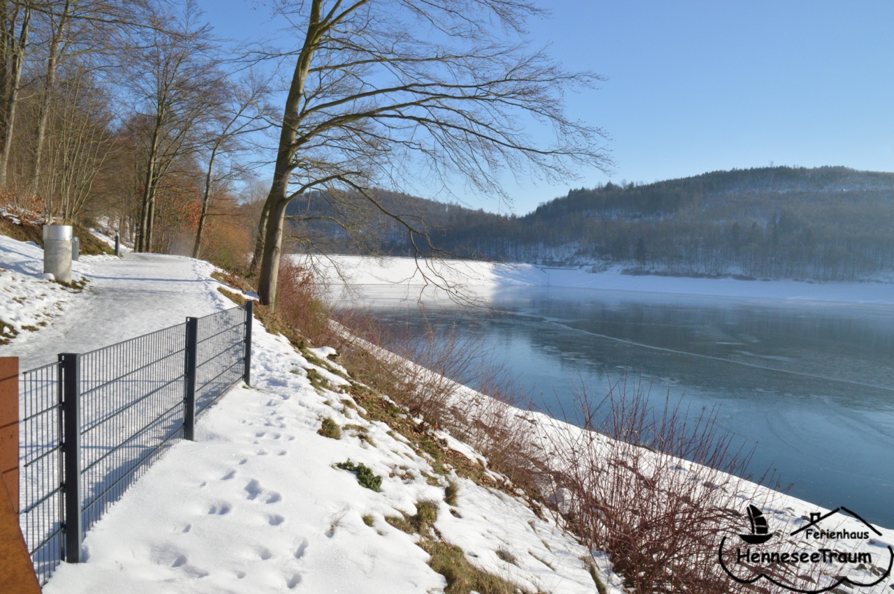 Der See im Winter