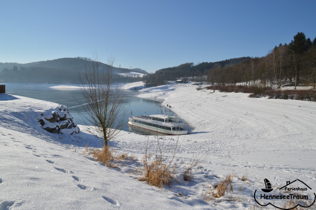 Der See im Winter