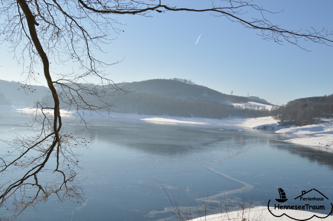 Der See im Winter