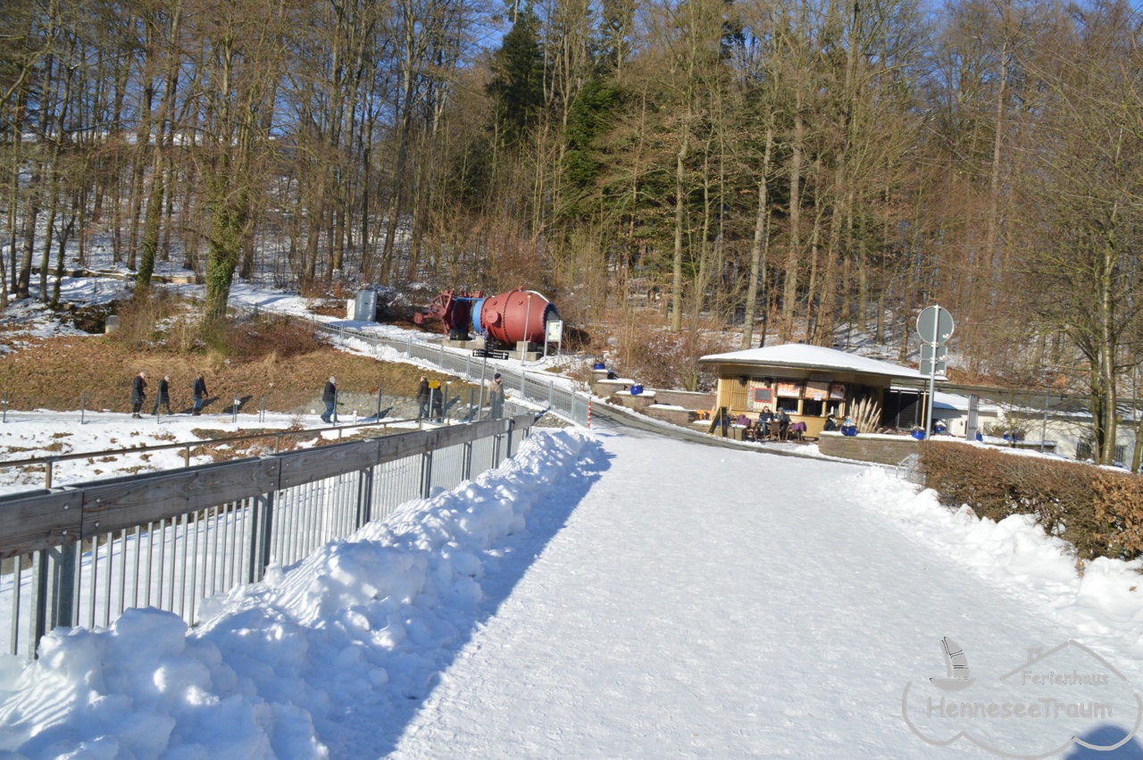 Der See im Winter