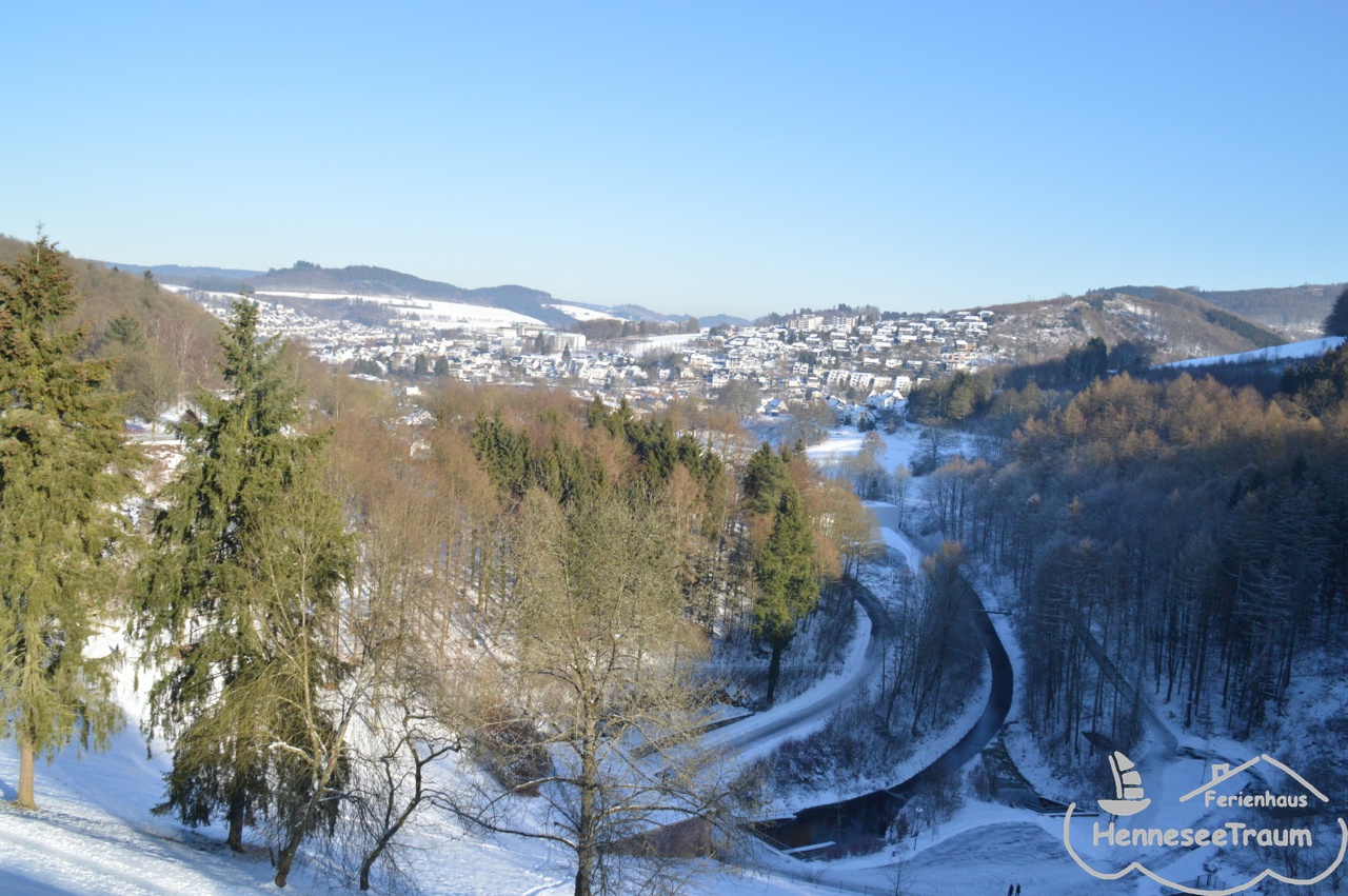 Der See im Winter