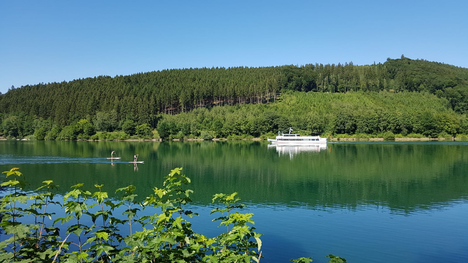 Der Hennesee
