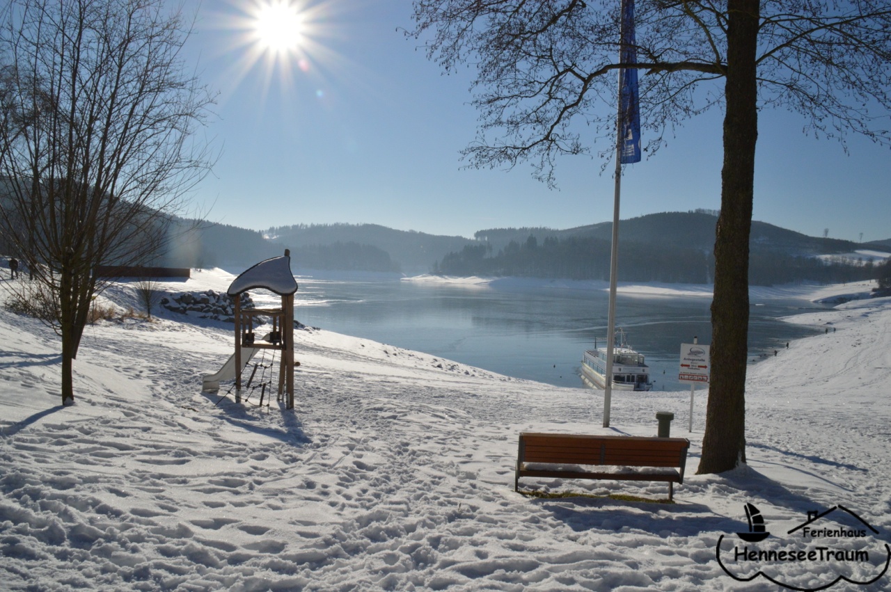 Der Hennesee im Winter
